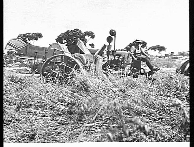 photograph-h-v-mckay-massey-harris-farm-equipment-manufacture