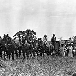 Negative - The McLaughlin Family With A Horse-Drawn Harvester, Wando Vale, Victoria, 1928