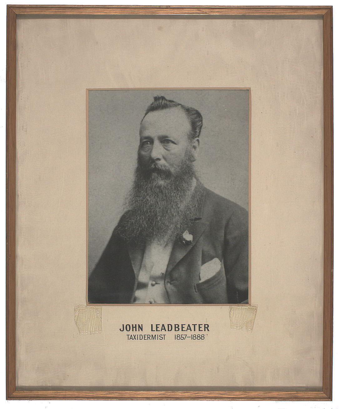 Photograph John Leadbeater, National Museum Taxidermist, Framed, 1858