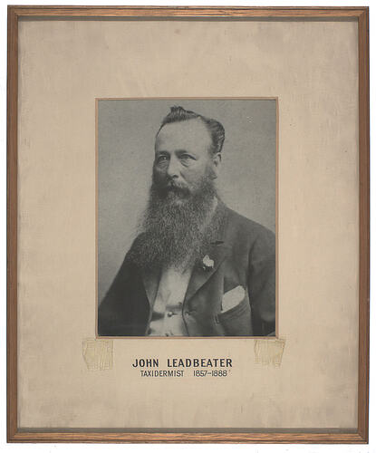 Portrait of a bearded man.