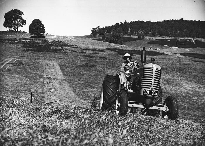 NO. 366. IN THE VICTORIAN ALPINE COUNTRY. A SUNSHINE POWER-DRIVE MOWER COUPLED TO SUNSHINE MASSEY HARRIS TRACTOR, CUTTING MEADOW HAY ON THE FARM OF MR. MACKRELL, STRATHBOGIE. DECEMBER 1949.