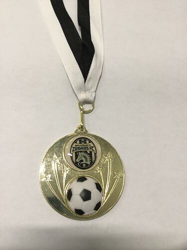Soccer medal with black and white ball below Zebra logo. Black and white ribbon.