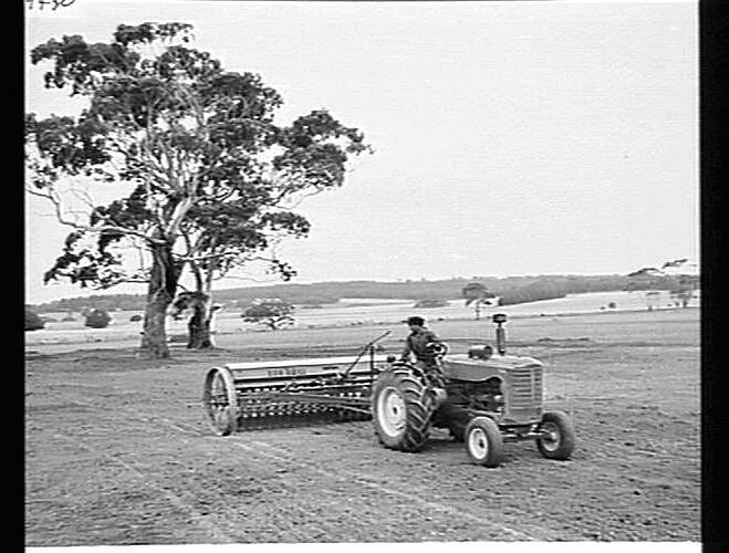 24-DISC SUN DRILL AND SMALL-SEEDS BOX WITH 744 DIESEL TRACTOR ON MR. J. HAYES' FARM AT MERRICKS, VIC: MAY 1953