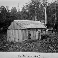 Photograph - Bartram's Hut, by A.J. Campbell, Dandenong Ranges, Victoria, circa 1890