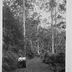 Photograph - Two Women on Mountain Road, by A.J. Campbell, Dandenong Ranges, Victoria, circa 1890