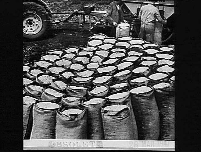 Photograph - H. V. McKay factory and/or equipment