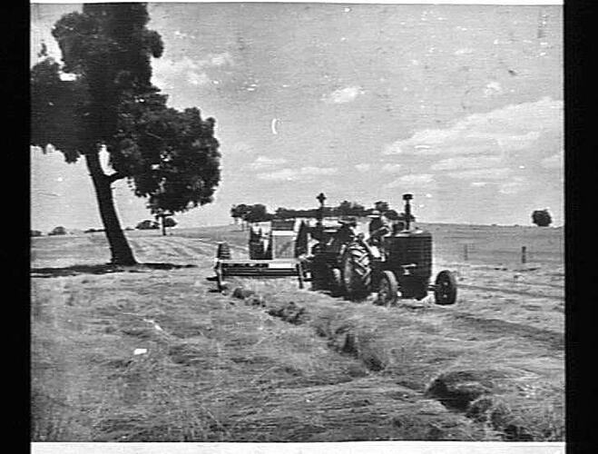 Photograph - H. V. McKay factory and/or equipment