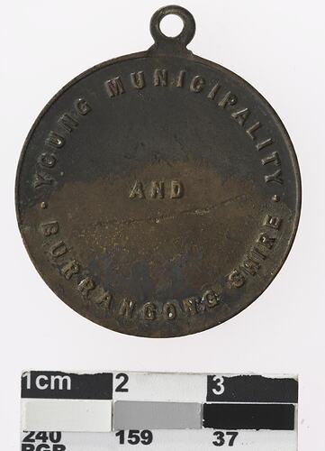 Round bronze coloured medal with text.