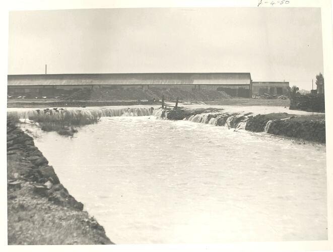 Photograph - Flood Damage at HV McKay Massey Harris Factory, Sunshine, 4 Apr 1950