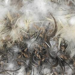 Indigenous basketwork