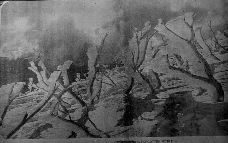 Lantern Slide - Frost & Snow, Mt Bogong, Victoria, Date Unknown. [BA 2005]