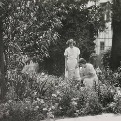 Photograph - Two Female Staff Standing in the Gardens, Kodak Factory, Abbotsford, early 1940s