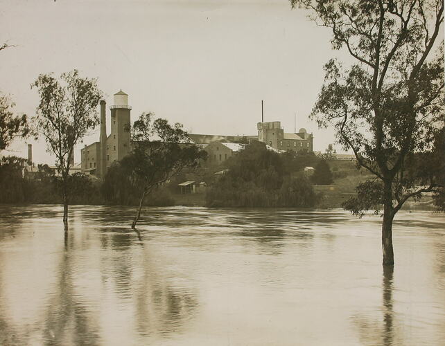 Photograph - Yarra River in Flood, Kodak Factory, Abbotsford, circa 1934
