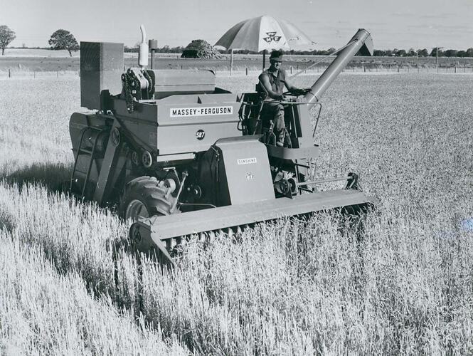 Front view of man driving an auto header harvester in field.