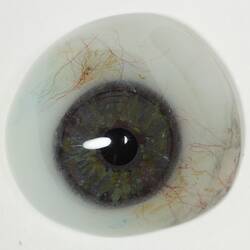 Prosthetic eye with grey iris.