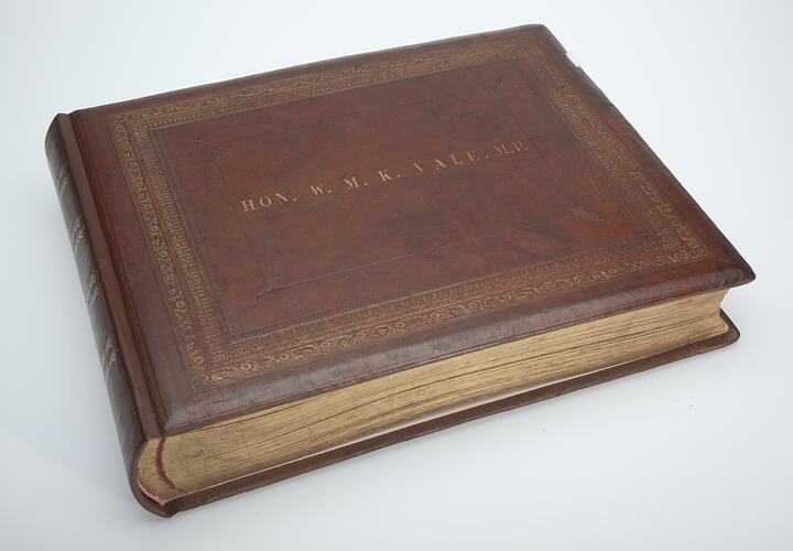Brown leather photo album. Cover has gold lettering and decorative border.