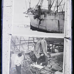 Glass Negative - Copy, Discovery II & RAAF Party Binding a Snow Sledge, Ellsworth Relief Expedition, Antarctica, 1935-1936