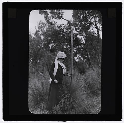 Black and white photograph of a girl and a grass tree.