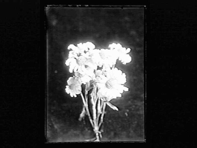 Negative - Glass