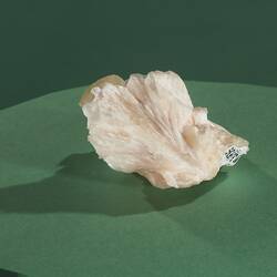 Powellite. [M 35985]