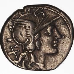 Coin - Denarius, P. Paetus, Ancient Roman Republic, 138 BC
