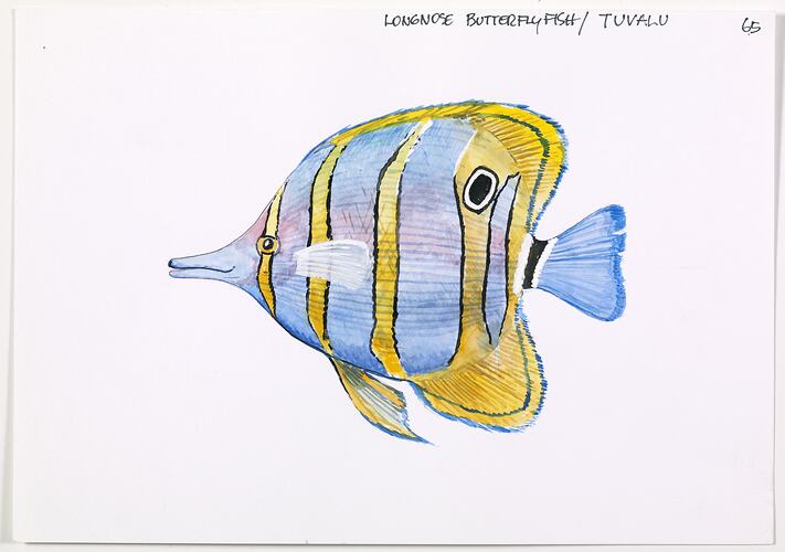 Watercolour - Longnose Butterfly Fish