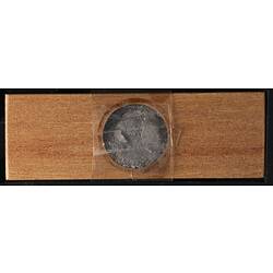 Bryozoan specimen on wooden microslide, underside view.