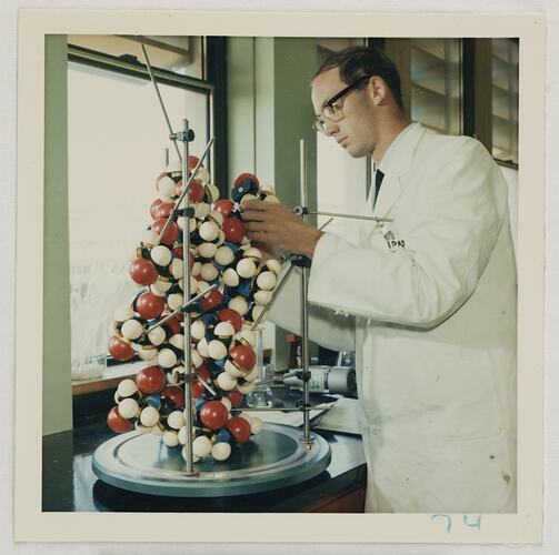 Chemist With Gelatine Molecule Model, Kodak Factory, Coburg, circa 1960s