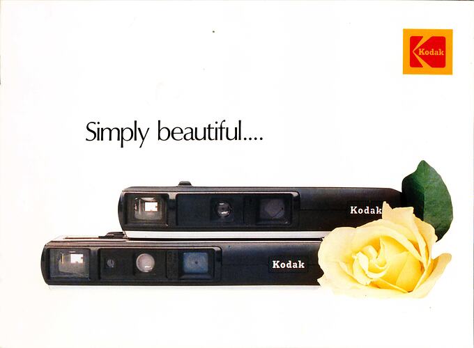 Cover page with cameras and white rose.