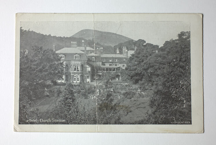 View through trees to large building.