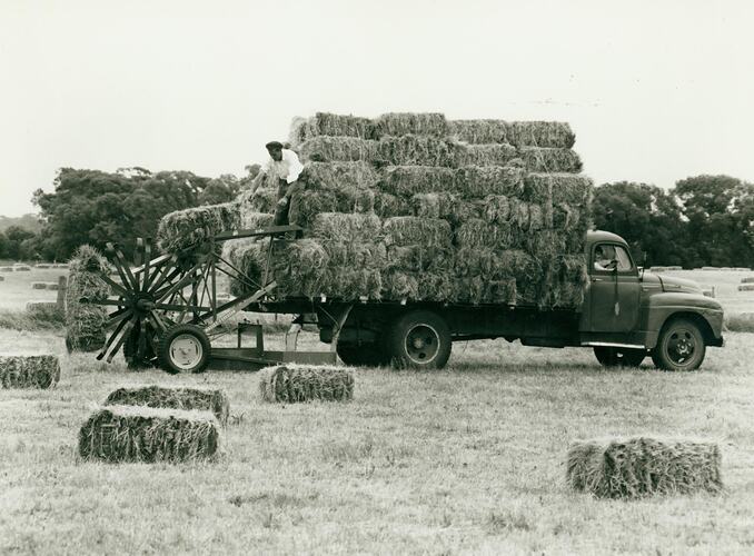 A man lifting a bale of hay from a Sunlifter onto the back of a tray truck loaded with hay bales..