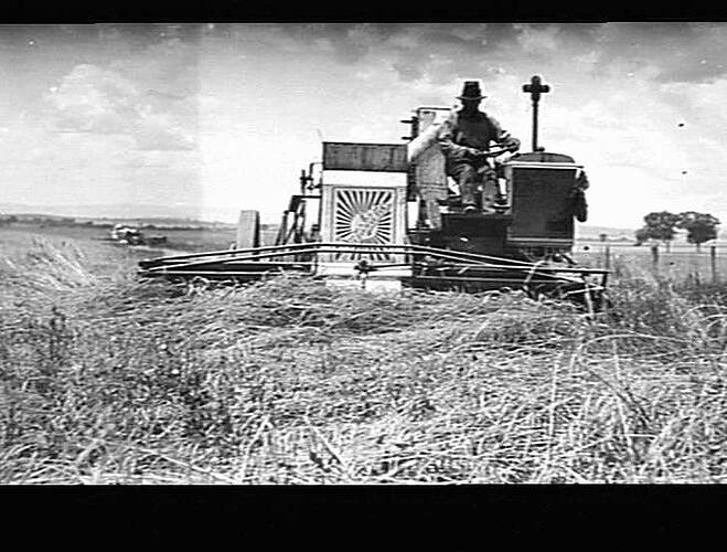 "AUTO HEADER AT WORK ON MR. FORGE'S PROPERTY, TAMWORTH, N.S.W.: DEC 1933"