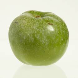 Wax model of an apple painted green. Has short stem.