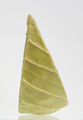 Wax model of pale green triangular section of cabbage leaf.