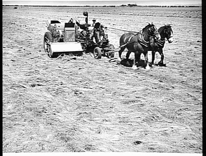 Photograph - H.V. McKay Massey Harris, Farm Equipment Manufacture ...