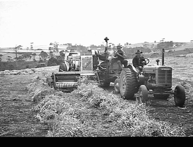 APPLEBY, RIANA, DEVONPORT, TAS. PEAS E.F. AND I.H.C. TRACTOR: FEB 1949