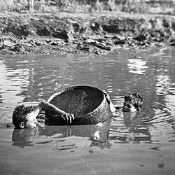 Negative - Two Boys Swimming With Barrel in a Water Hole, Merrigum, Victoria, 1910