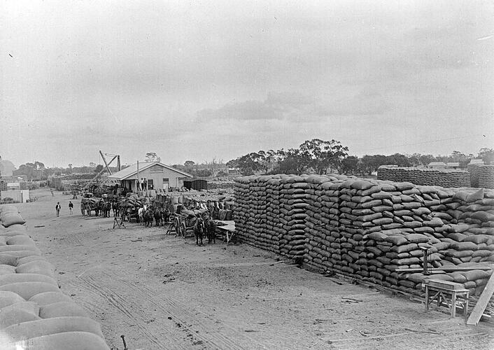 [Unloading bagged wheat at Warracknabeal railway yard, 1898.]