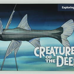 Coin Set - 1 Dollar, 'Creatures Of The Deep', Uncirculated, Australia, 2023