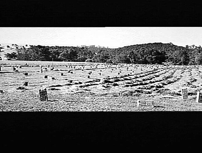 EVANS BROS, HANSONVILLE VIC. BALED LUCERNE.