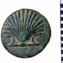 Coin - Tarentum, Italy, circa 250 BC