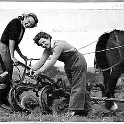 Photograph - H.V. McKay Massey Harris, Farm Equipment Manufacture & Field Trials, Australia, Dec 1942