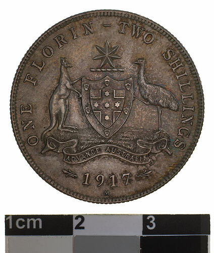Specimen Coin - Florin (2 Shillings), Australia, 1917, photographed by Museums Victoria