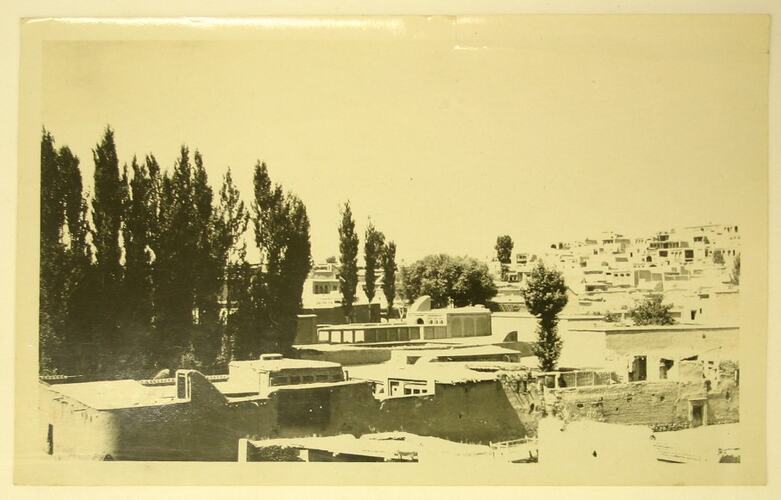 Elevated view of buildings and trees.