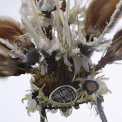 Bird of Paradise Headdress, front view, detail