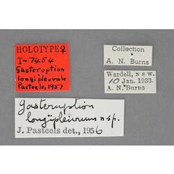 Entomology type specimen labels.
