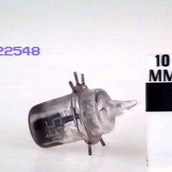 Electronic Valve - Tung-Sol, Triode, Type 955, 1934-1945