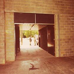 Photograph - Looking North From Former Easter Annexe Site, Royal Exhibition Building, Melbourne, 1982