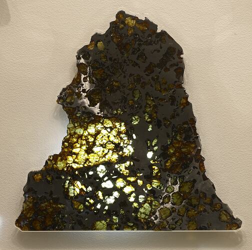 Slice of meteorite specimen.