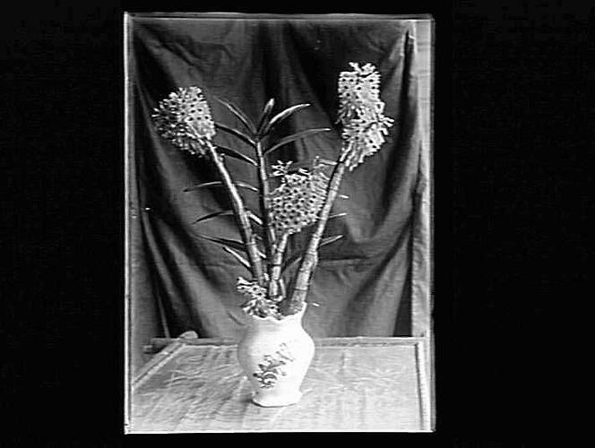 Negative - Glass
